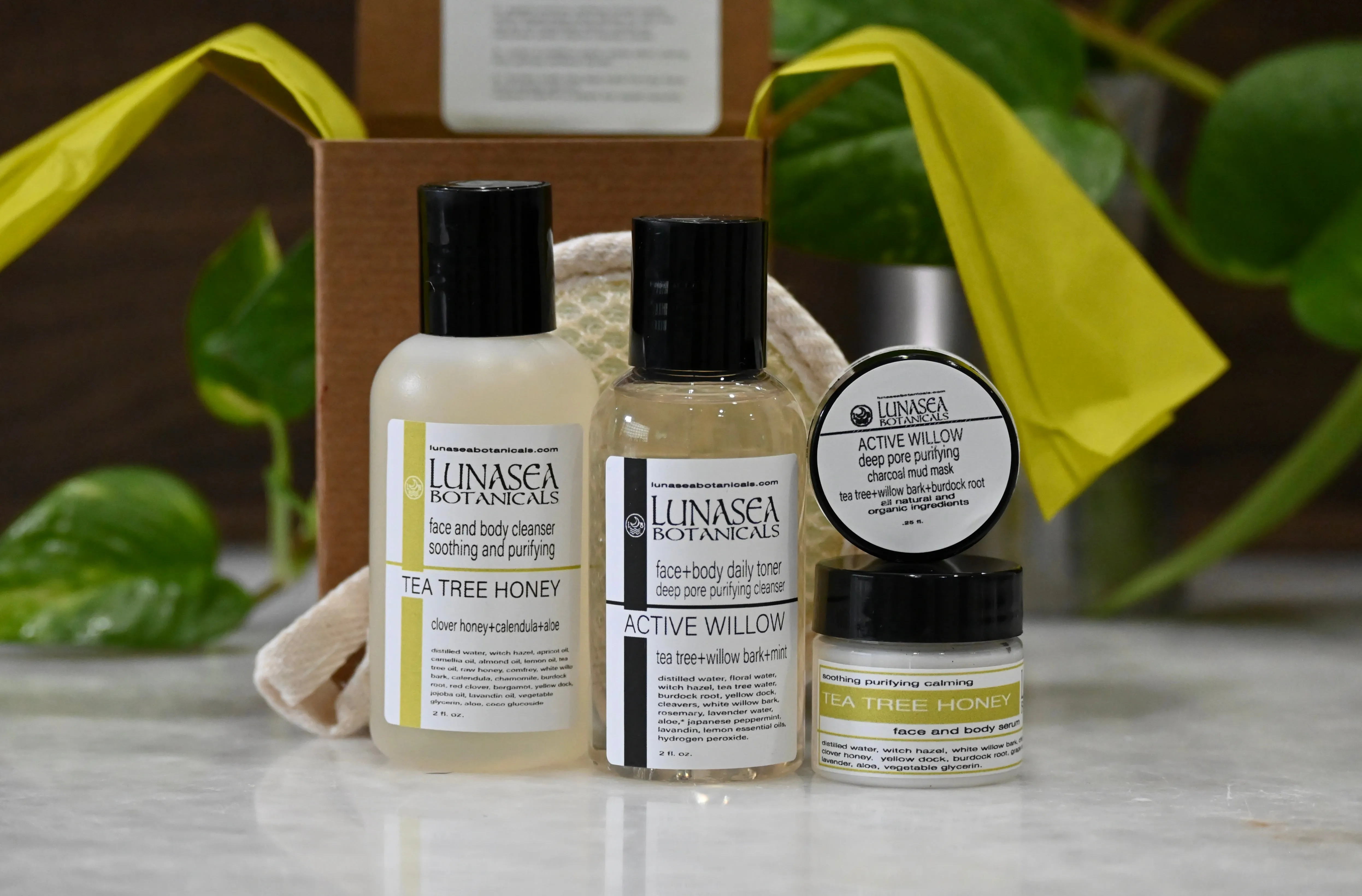 Active Tea Tree Starter Kit