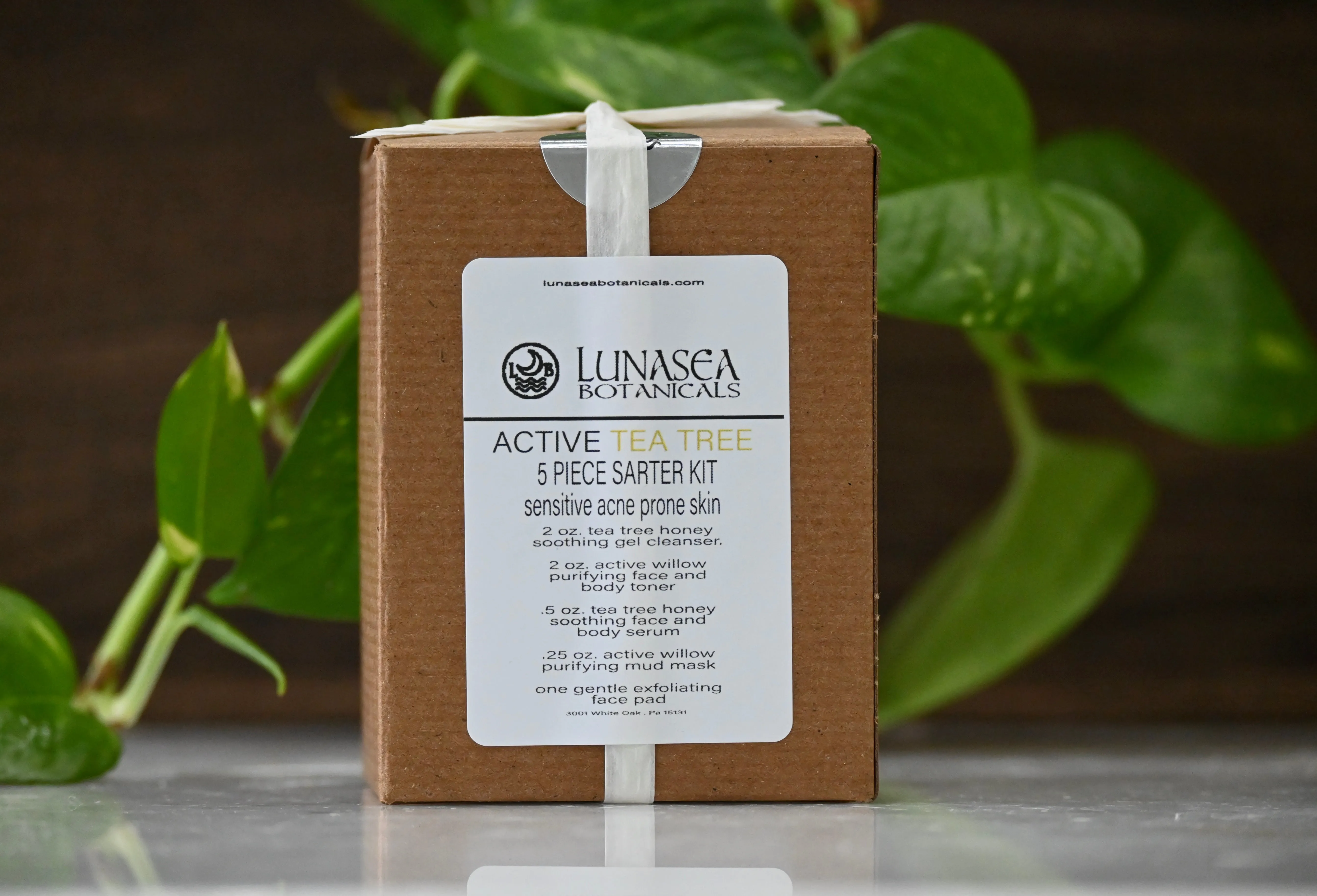 Active Tea Tree Starter Kit