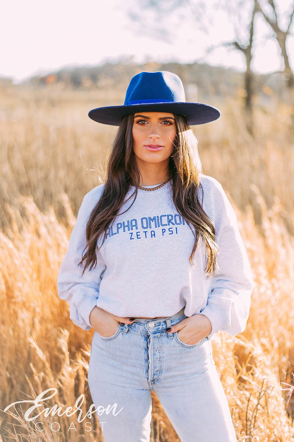 Alpha Omicron Pi Simple Ash Gray Crewneck
