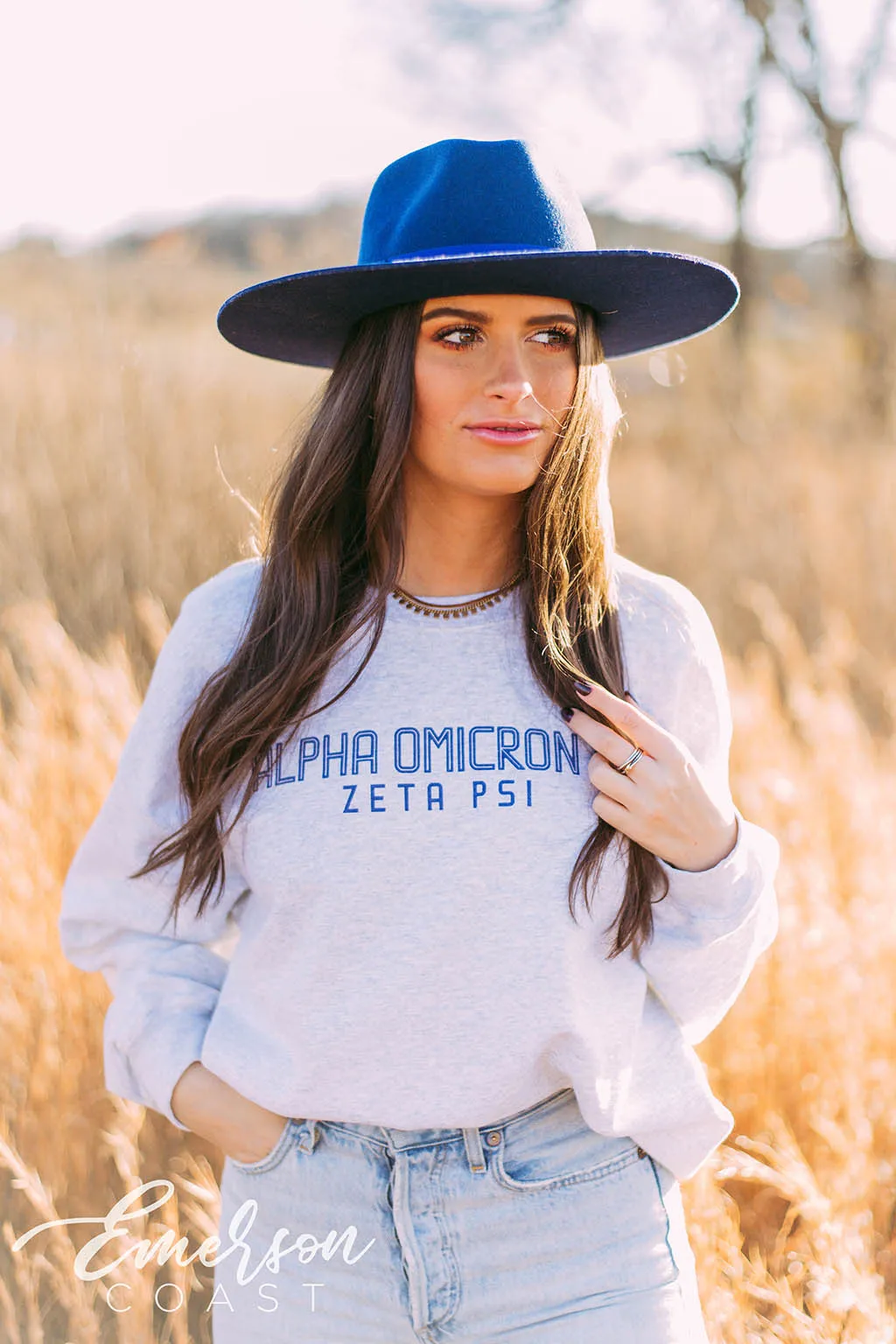 Alpha Omicron Pi Simple Ash Gray Crewneck