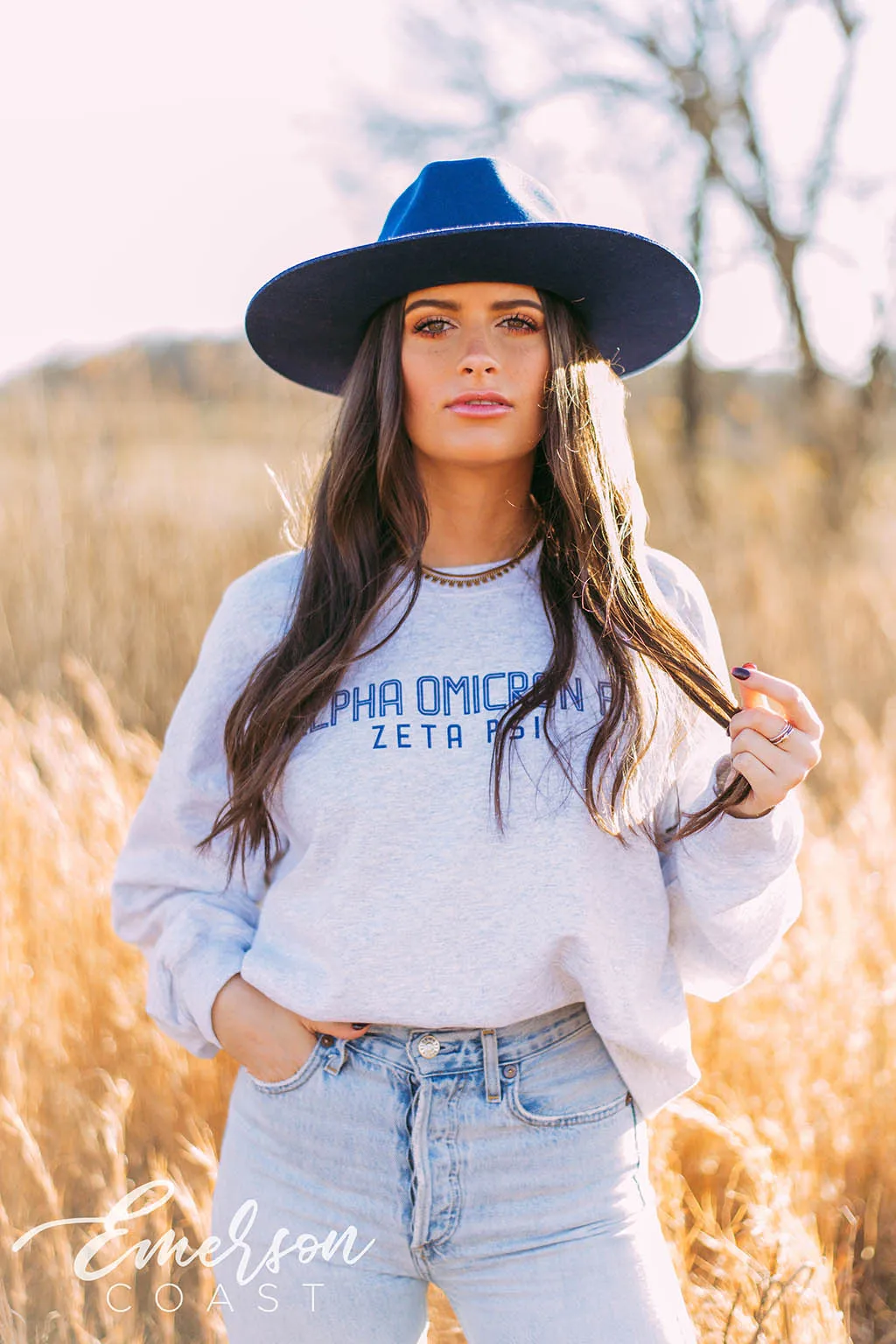 Alpha Omicron Pi Simple Ash Gray Crewneck