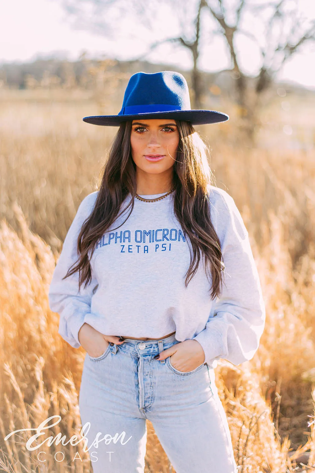 Alpha Omicron Pi Simple Ash Gray Crewneck
