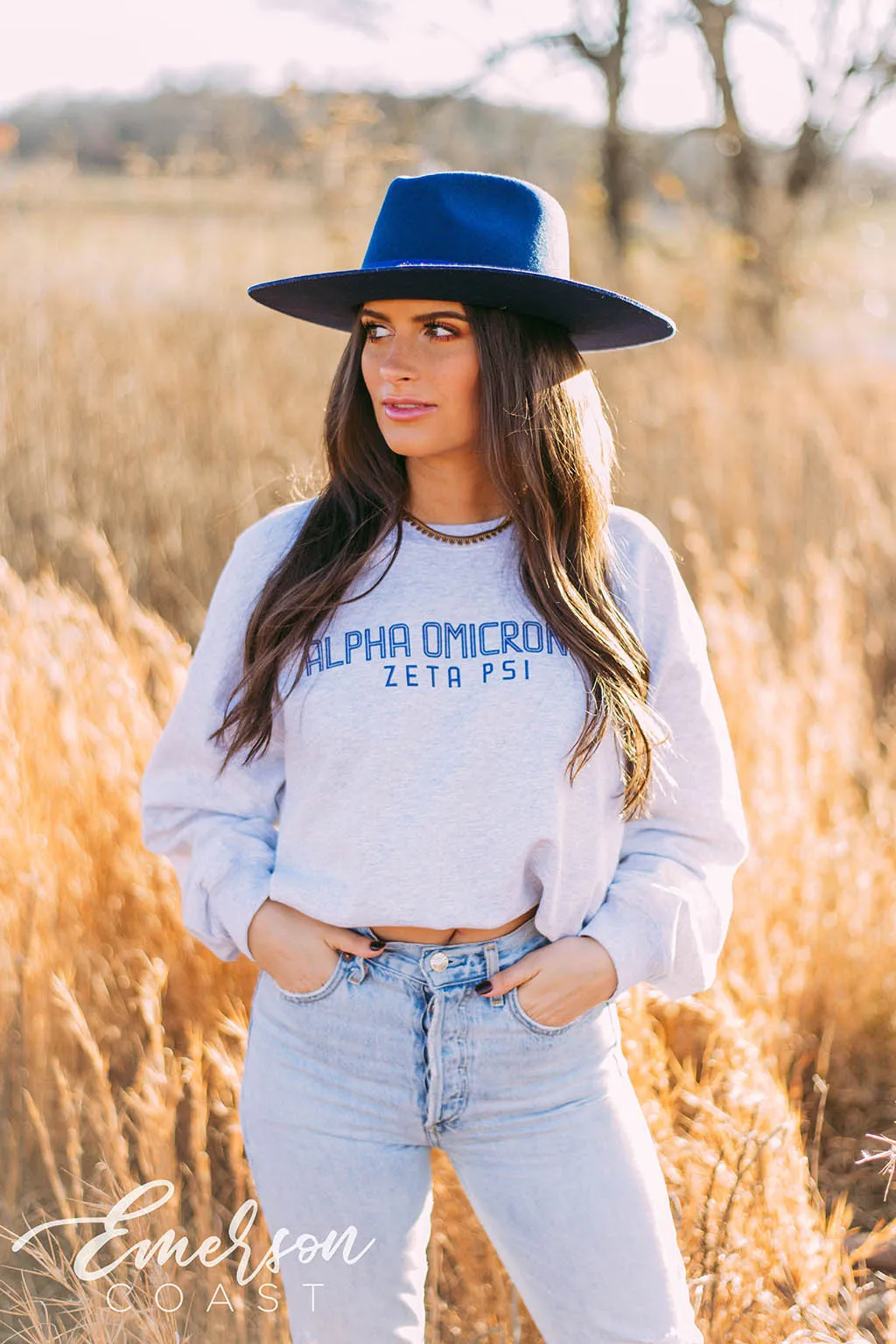 Alpha Omicron Pi Simple Ash Gray Crewneck
