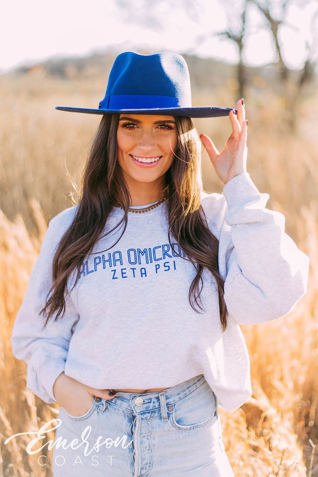 Alpha Omicron Pi Simple Ash Gray Crewneck