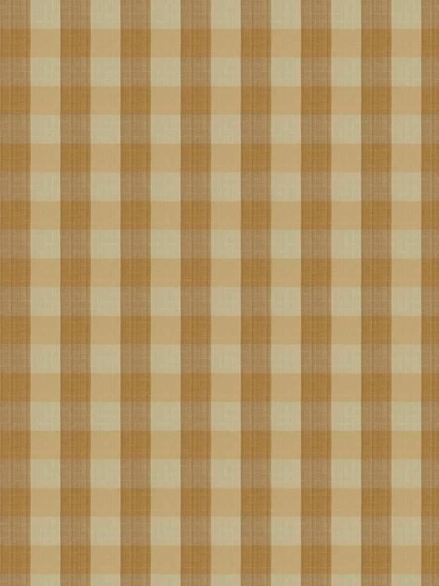 Biron check - Soft gold