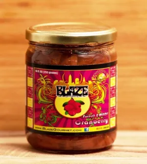 Blaze Gourmet (Fruit) Mild Cranberry Salsa