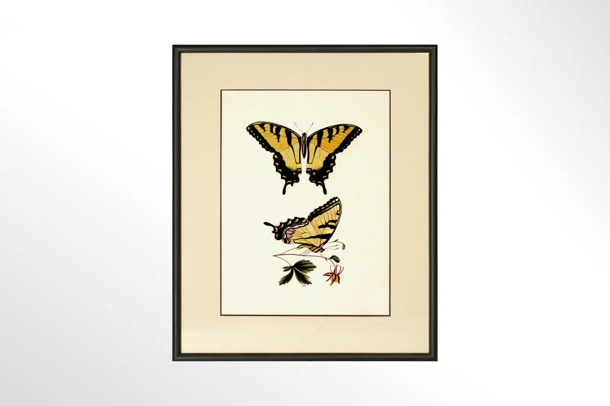 Butterfly Print Collection