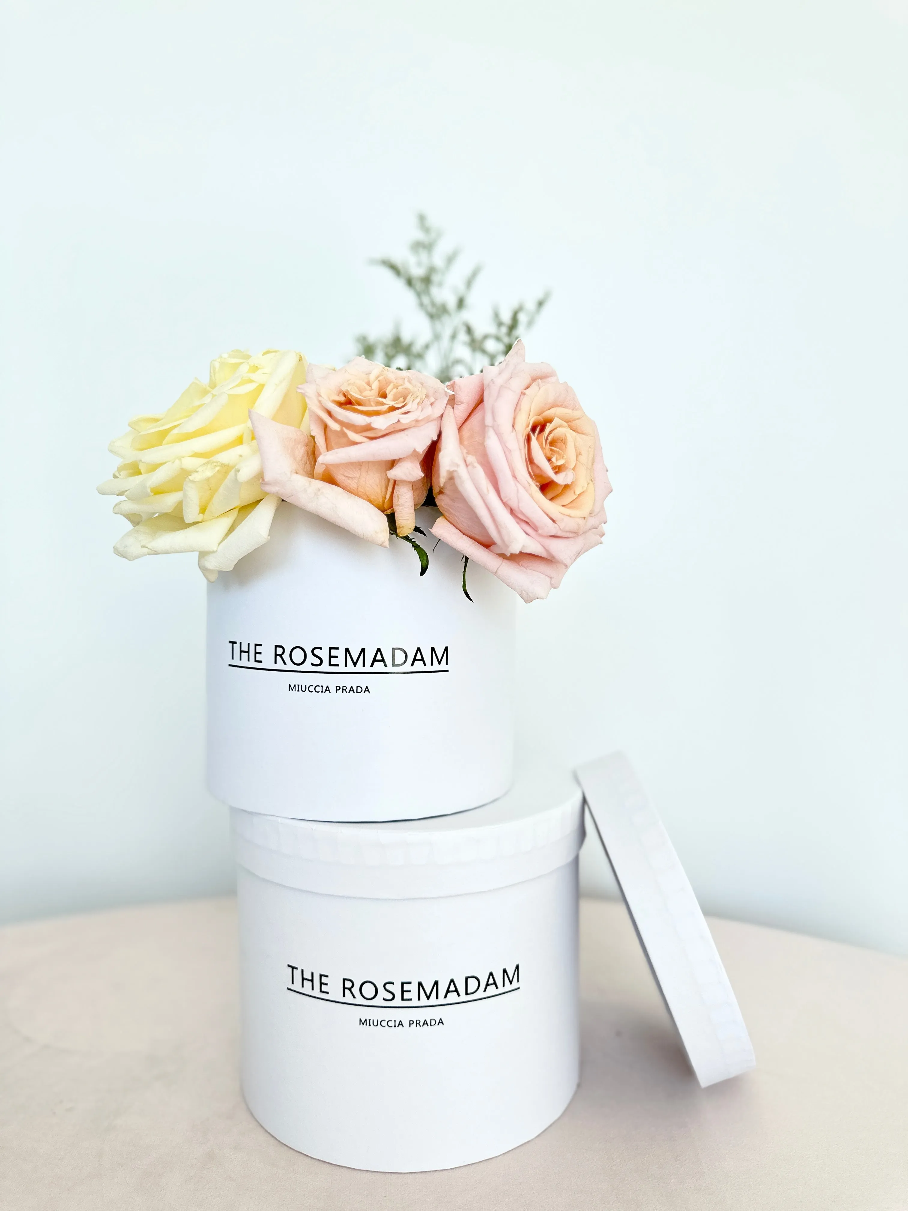 Chic Round Gift & Flower Box