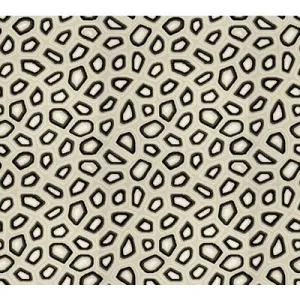 Chic Tortoise-Anthracite
