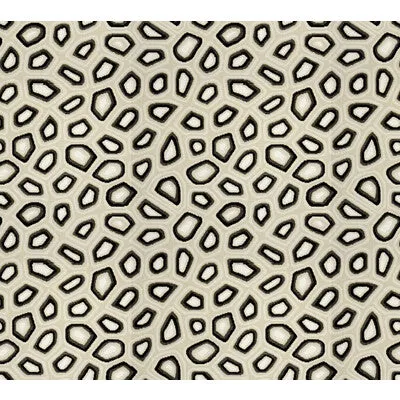 Chic Tortoise-Anthracite