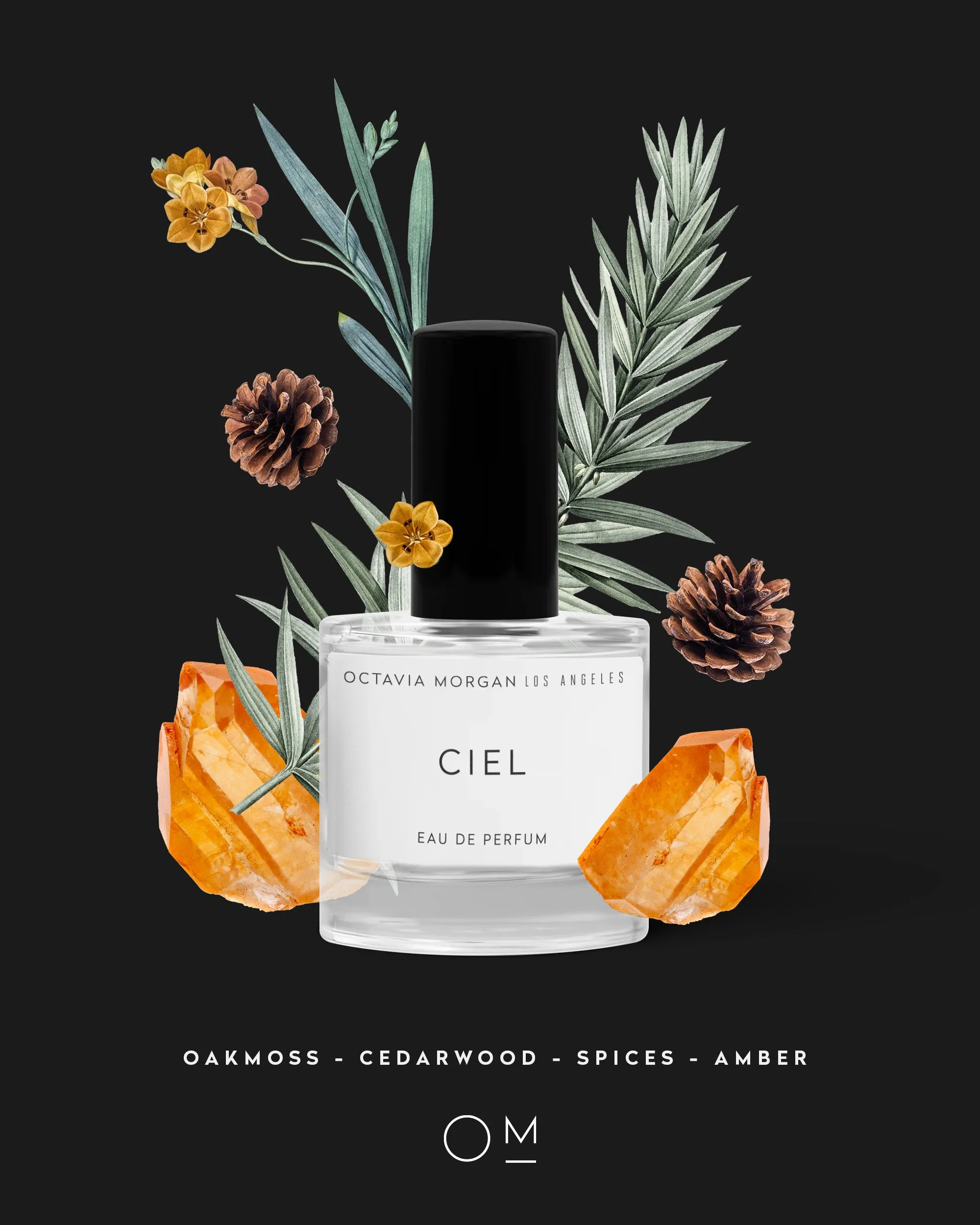 CIEL EDP