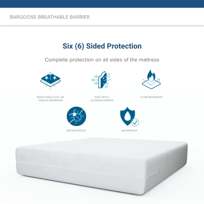 Clean Air Allergy & Bed Bug Mattress Protector
