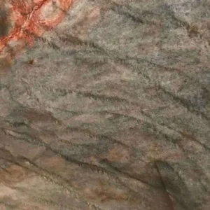 COBRA SILVER Quartzite Slab