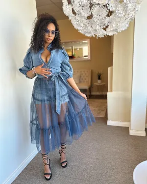 Denim Sheer Top