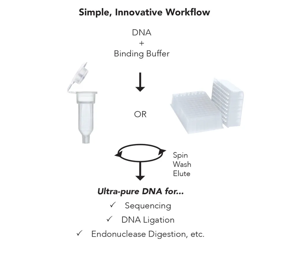 DNA Clean & Concentrator-25