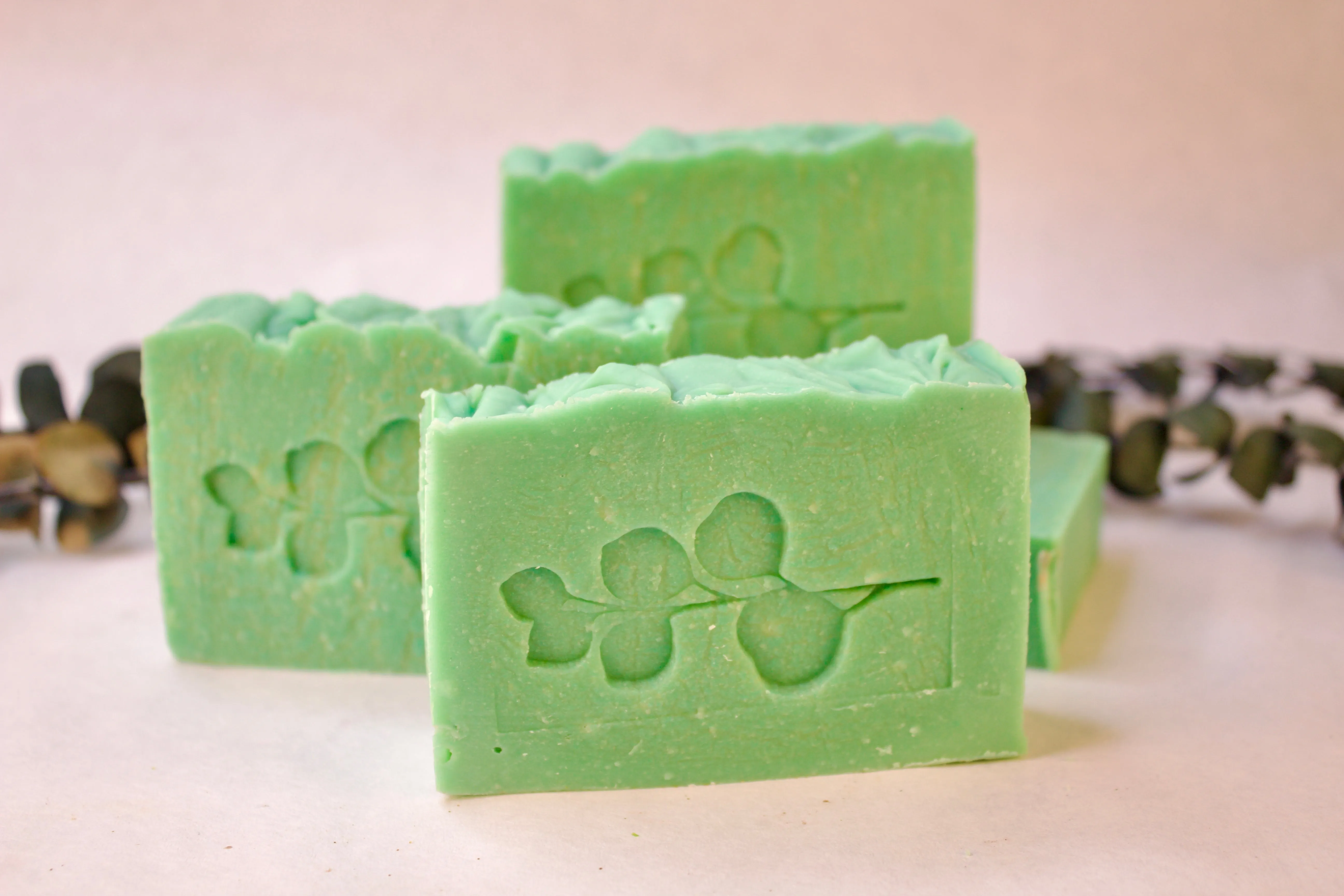 Eucalyptus Bar