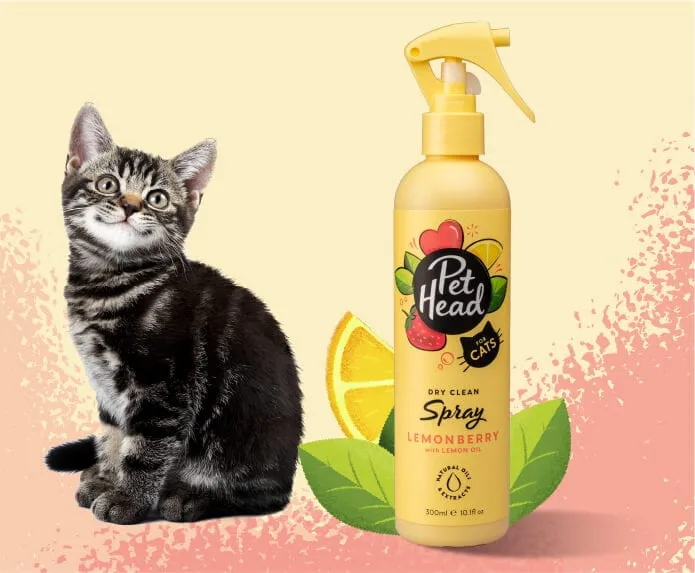 Felin' good Cat dry clean spray