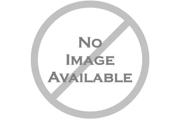 Fenwicks Workshop Degreaser 600ml**