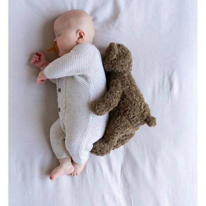 Jnr Benny the Bear