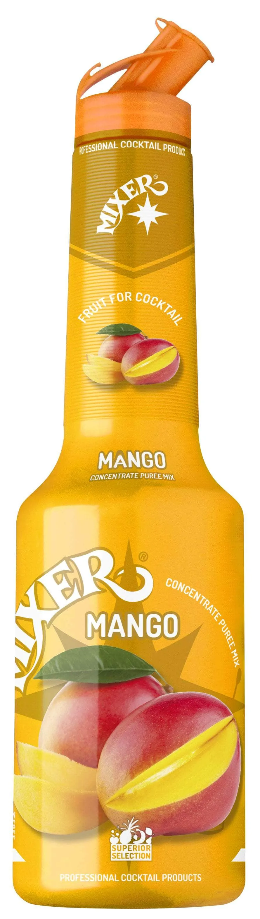 Mixer Mango Purée