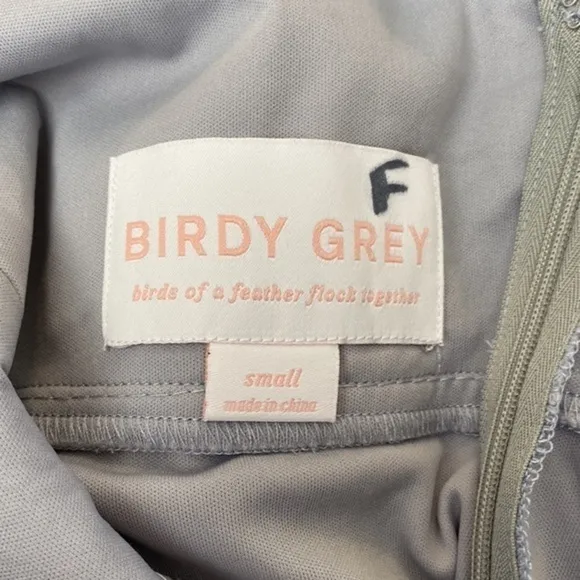 NWT Birdy Grey Kae Chiffon Dress in Silver