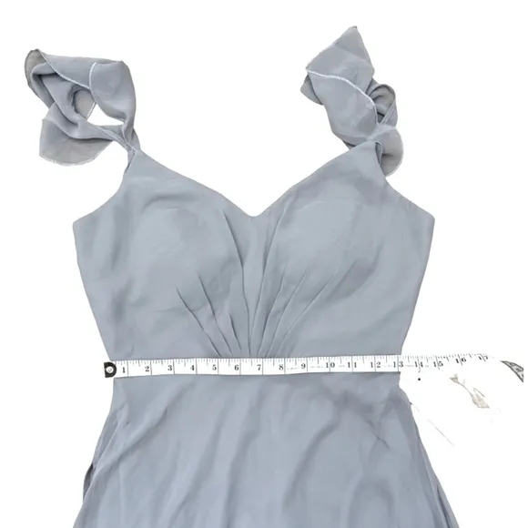 NWT Birdy Grey Kae Chiffon Dress in Silver