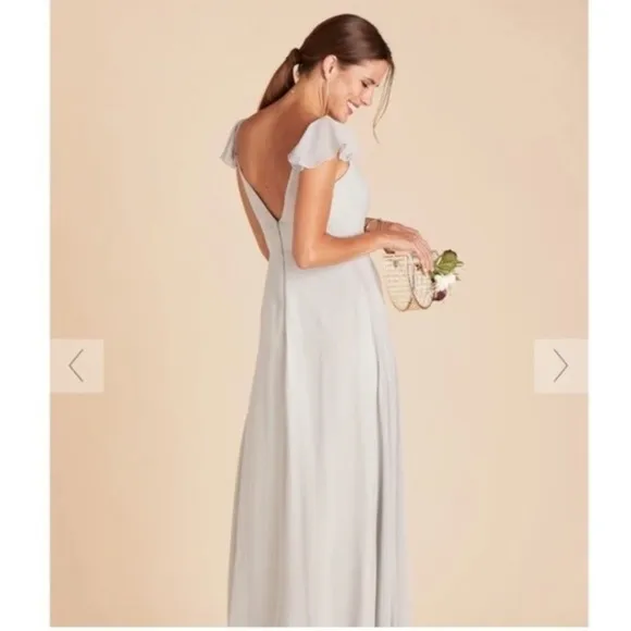 NWT Birdy Grey Kae Chiffon Dress in Silver