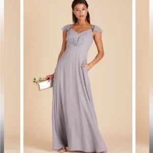 NWT Birdy Grey Kae Chiffon Dress in Silver