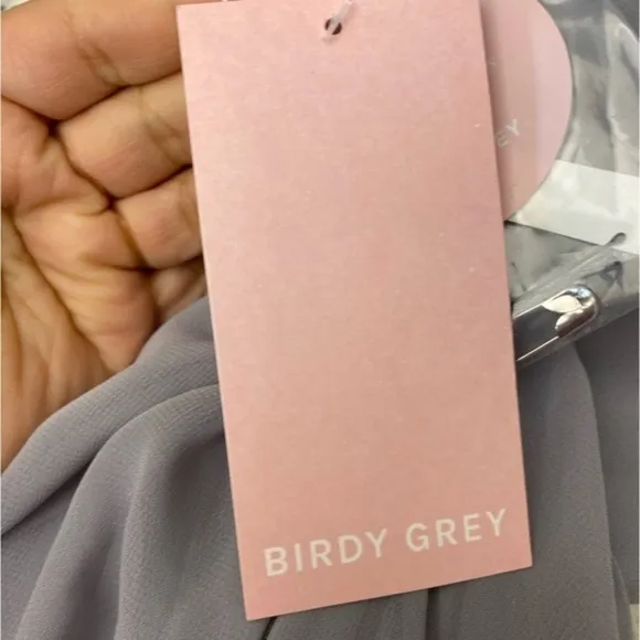 NWT Birdy Grey Kae Chiffon Dress in Silver