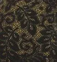 Olive Lace Plus Size Leggings