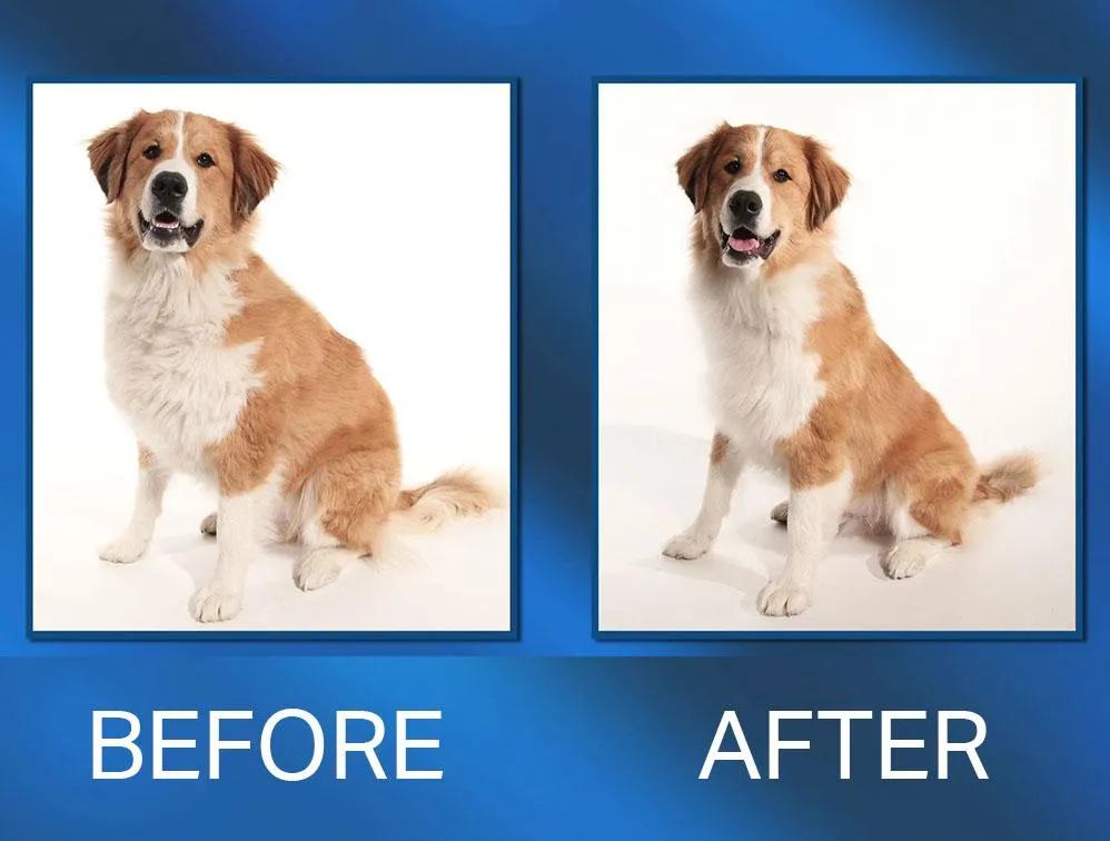 Paw Perfect Fur Trimmer