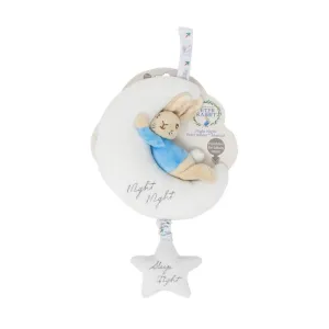 PETER RABBIT Night Night Musical
