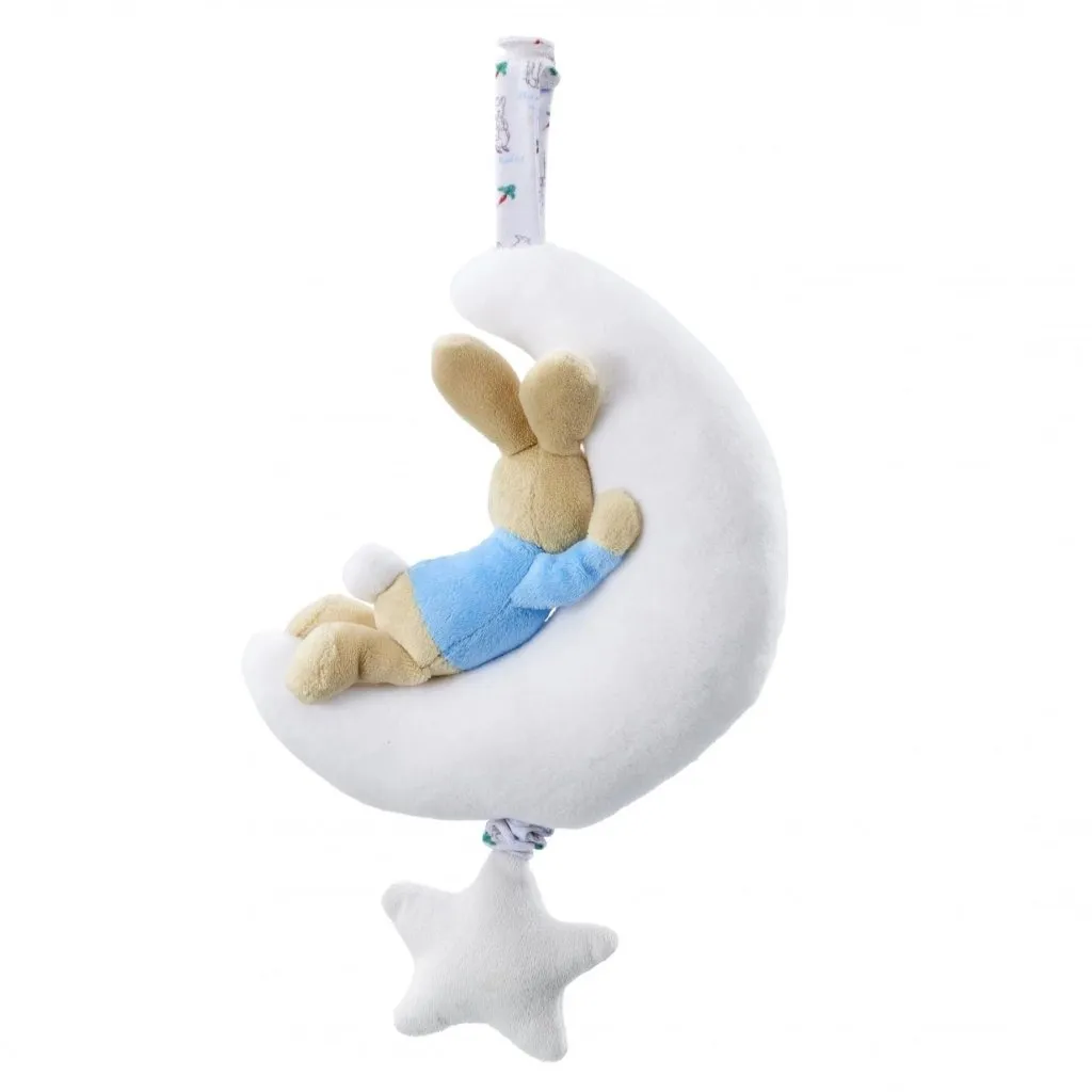 PETER RABBIT Night Night Musical