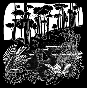 Posse "Soft Opening" LP