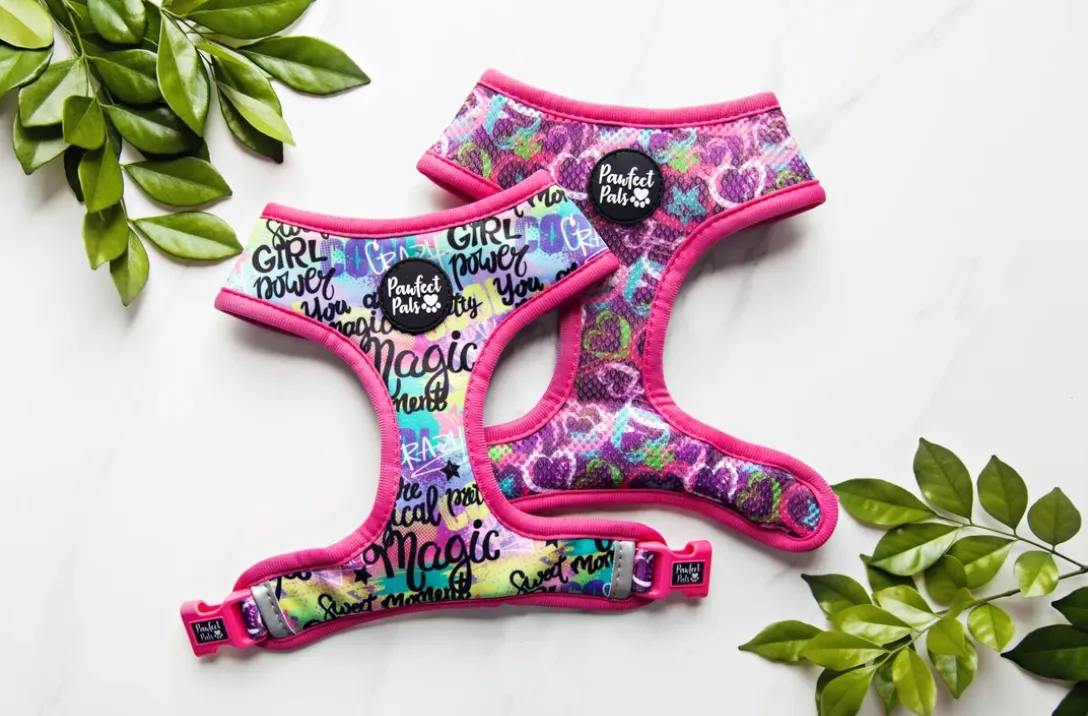 "The 'Classy, Sassy and a Little Bad-Assy" Reversible Harness
