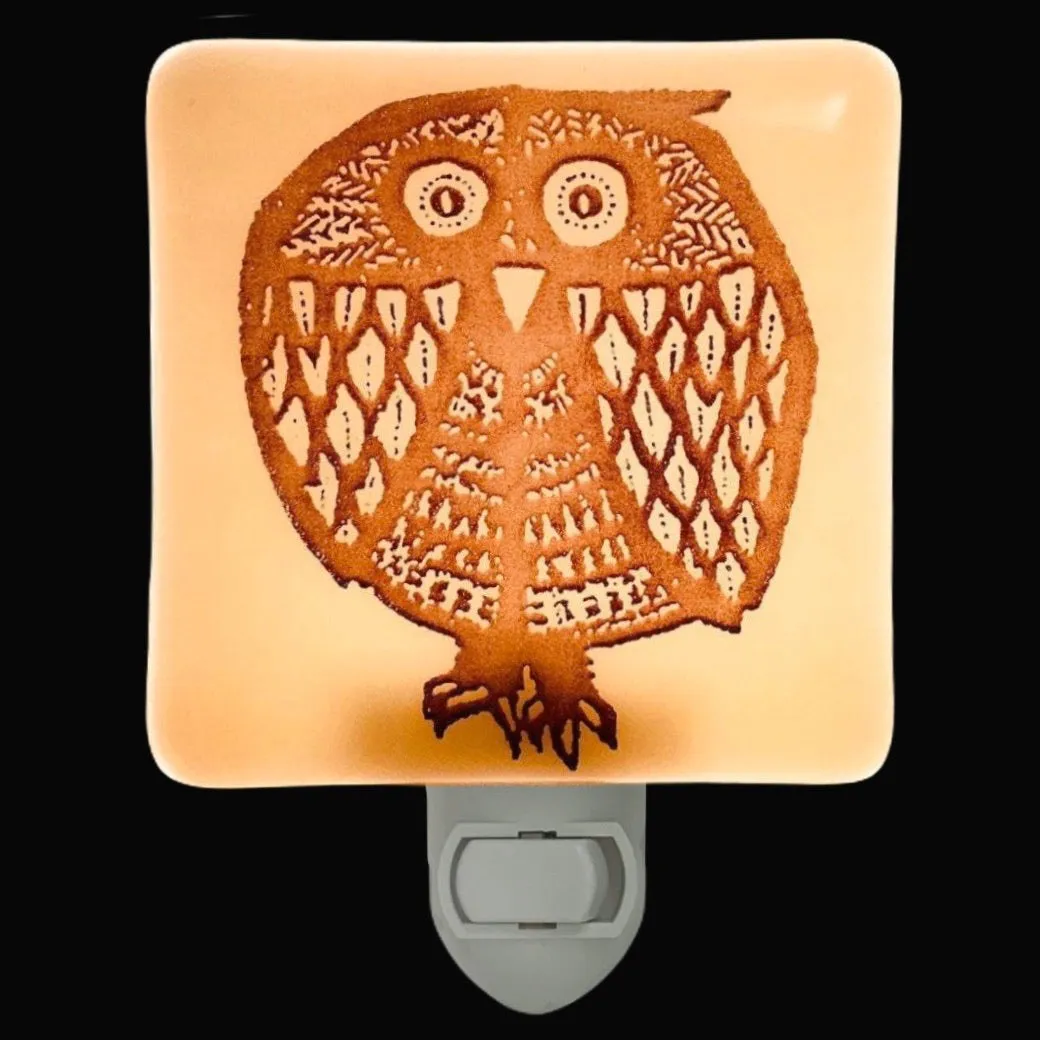 Retro Owl Night Night
