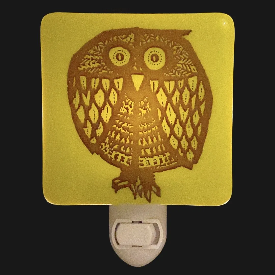 Retro Owl Night Night
