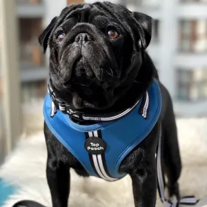 Retro Stripe Dog Harness - RAF Blue