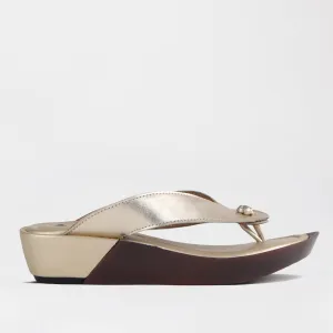 Rox Thong Sandal in Gold - 10737