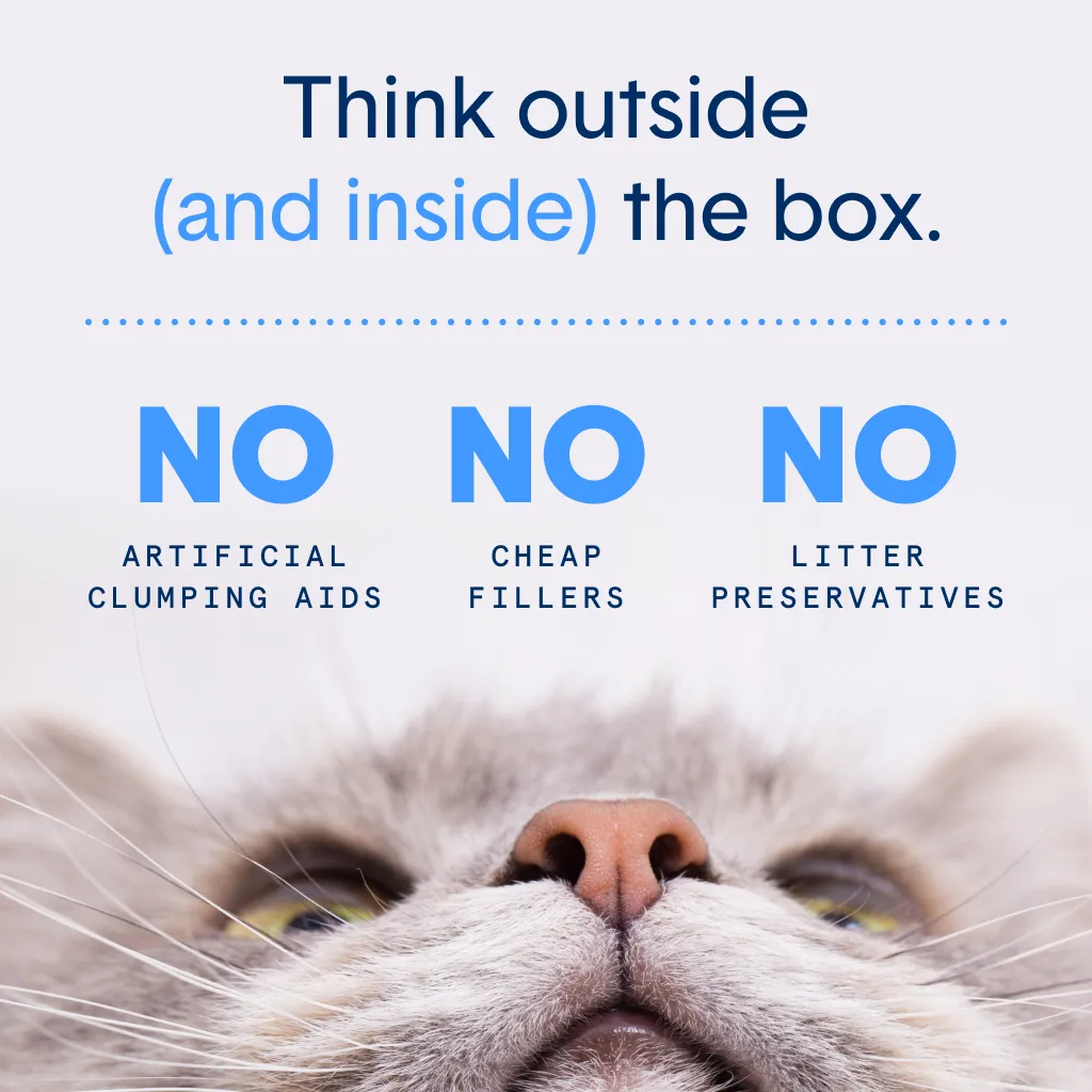 Self-Cleaning Probiotic Lightweight Clumping Litter