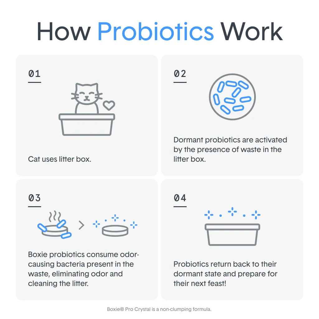 Self-Cleaning Probiotic Lightweight Clumping Litter