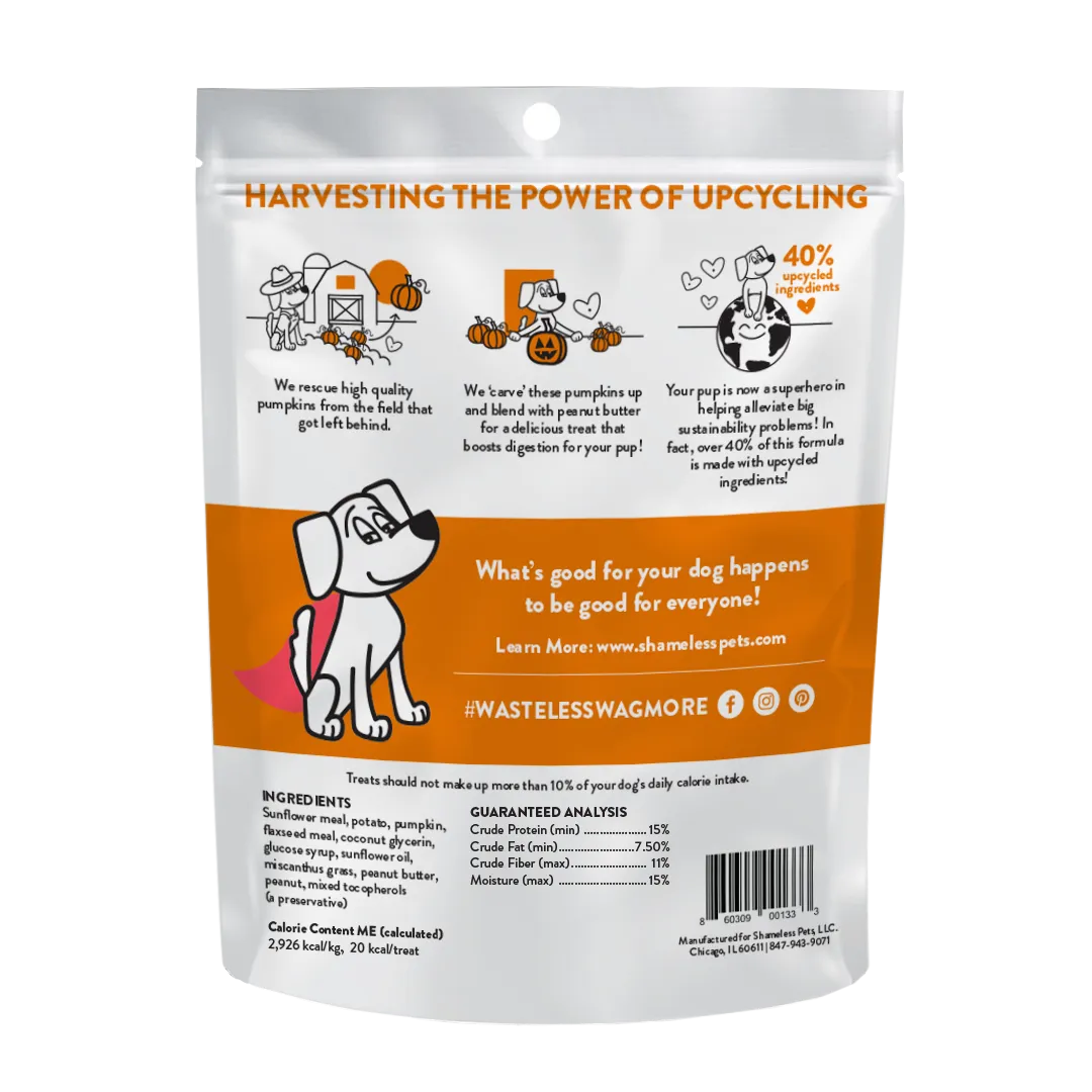 Shameless Pumpkin Nut ParTay Grain-Free Soft-Baked Dog Treat (6-oz bag)