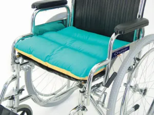 Softech Seat Cushion