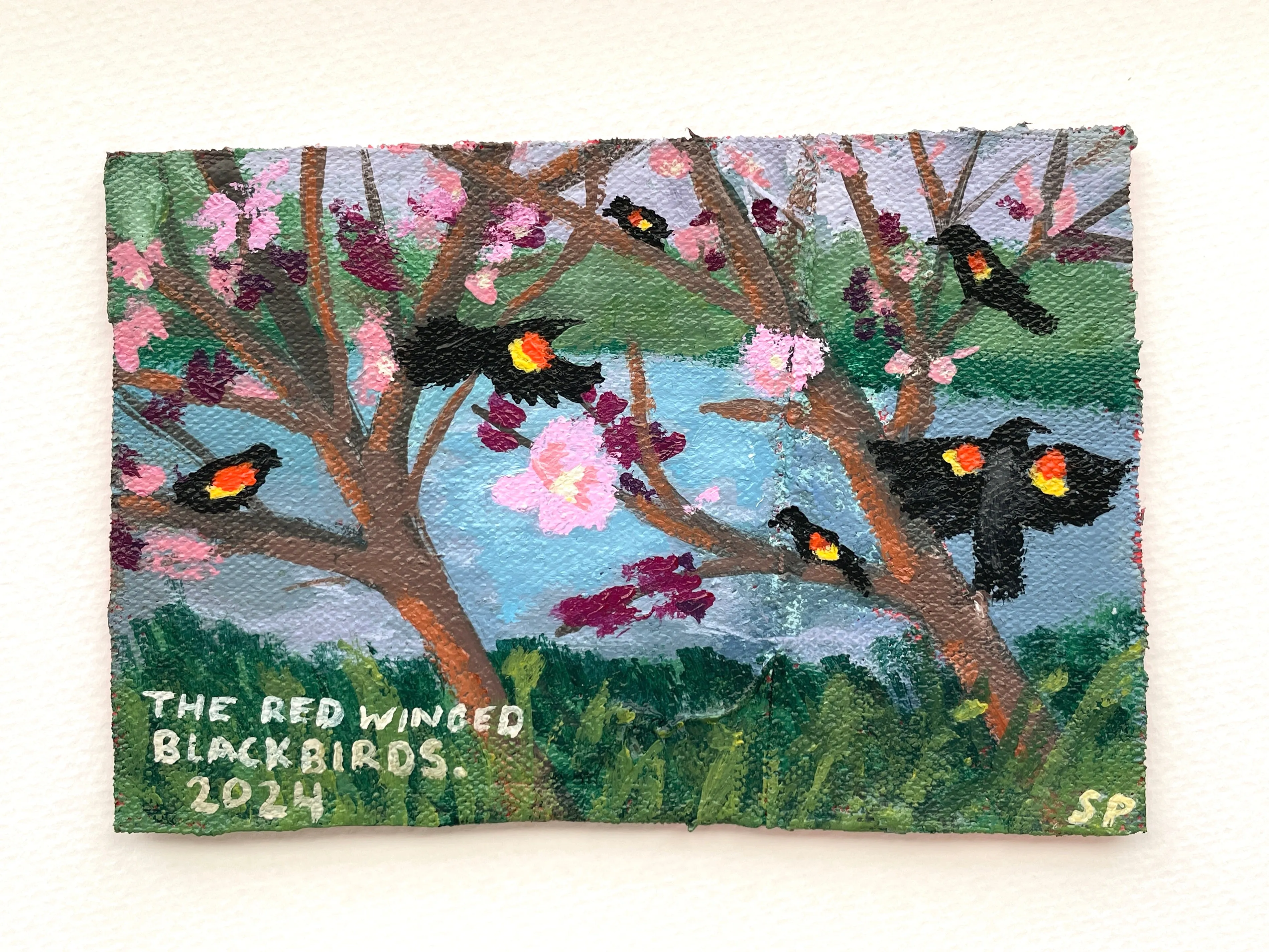 The Redwinged Blackbirds