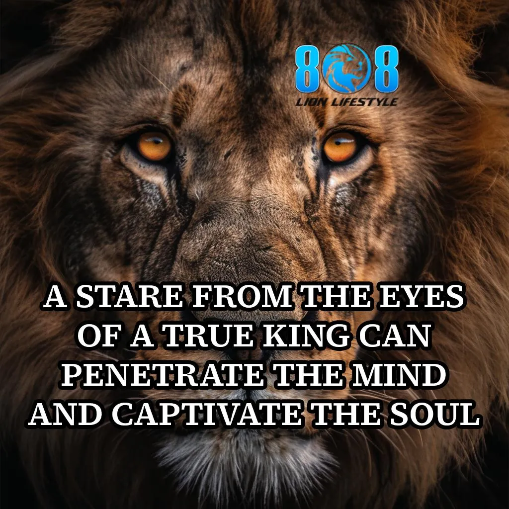 True King Stare Canvas