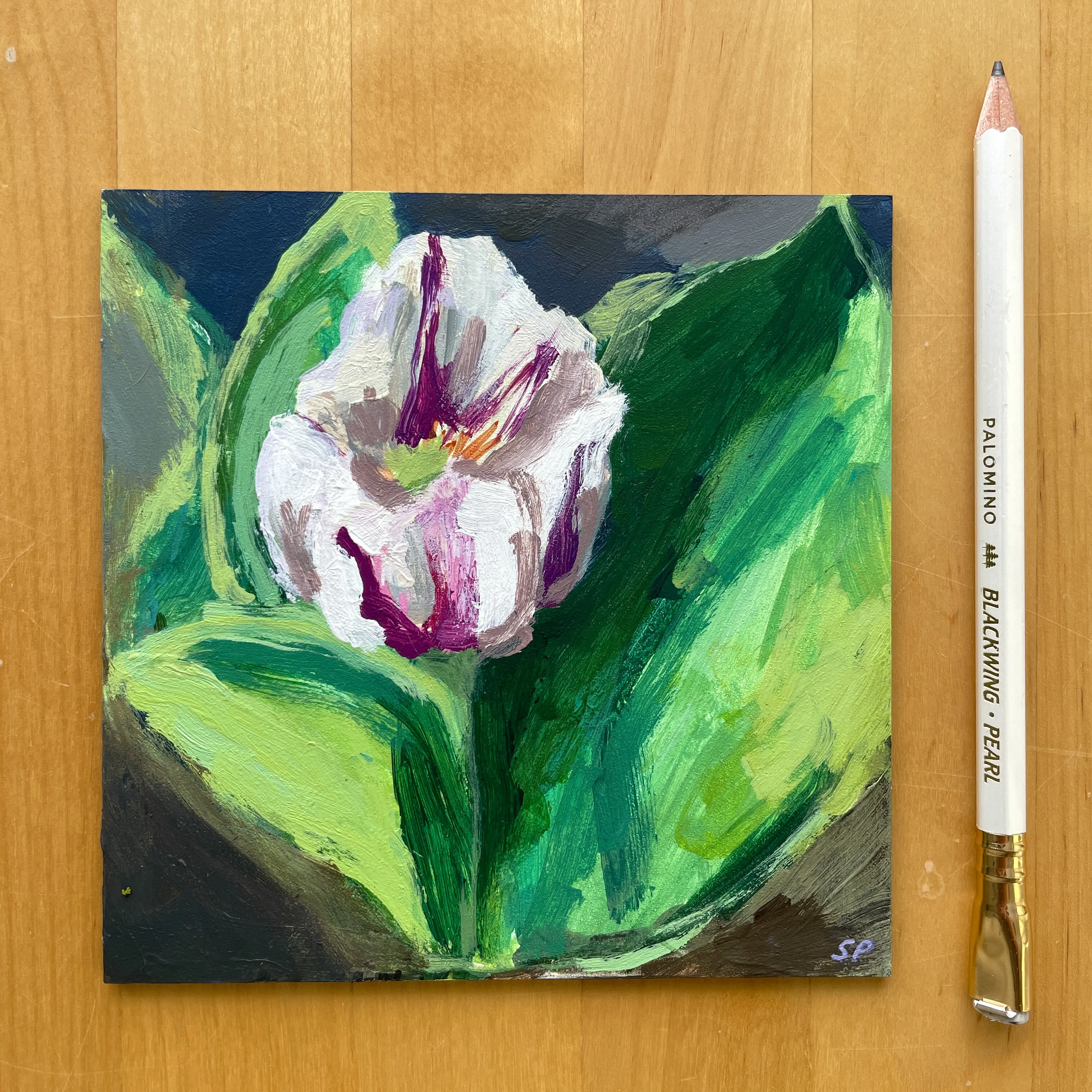 Tulip no.2