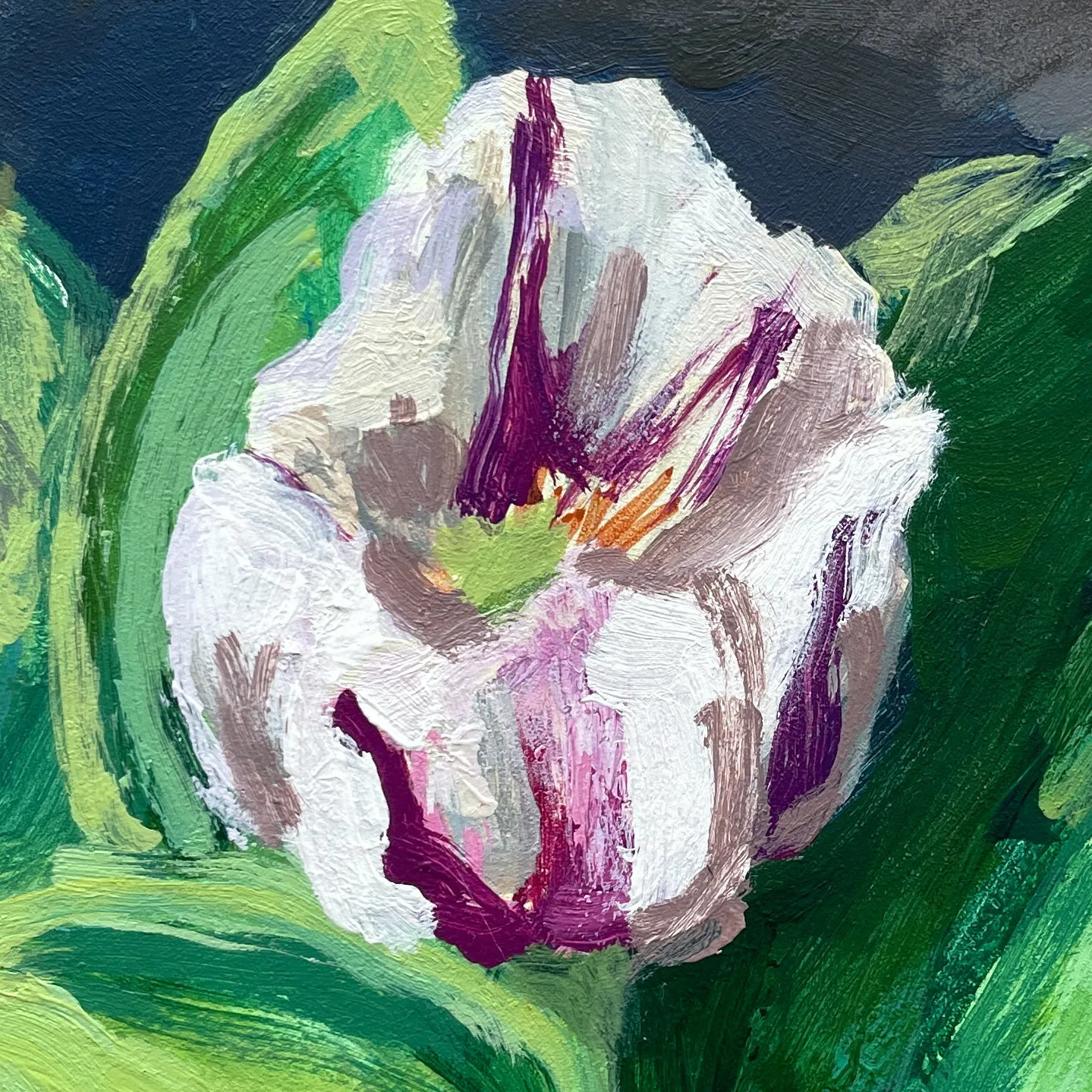 Tulip no.2