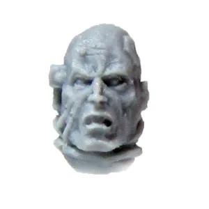 Warhammer 40k Forgeworld Chaos Space Marines Night Lords Raptors Bare Head Bits