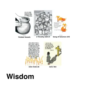 Wisdom {Card}